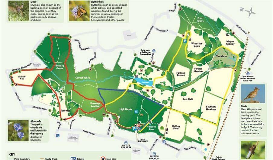 High Woods Country Park FamDay high-woods-country-park-famday